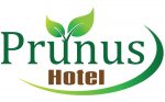 Prunus Hotel & Residences