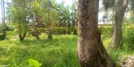 Land for sell in Kagote